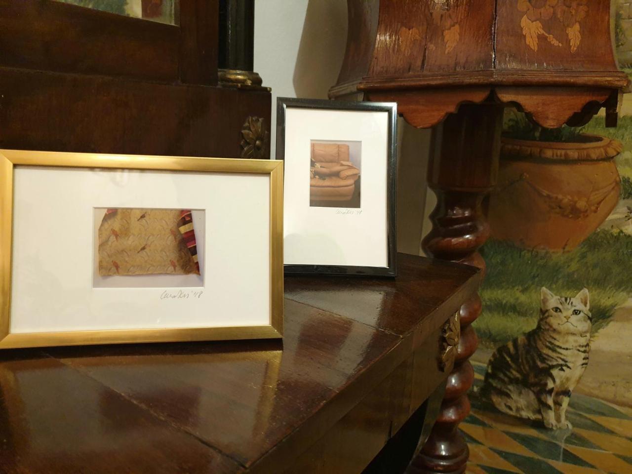 Albergo delle Drapperie Bologna Esterno foto