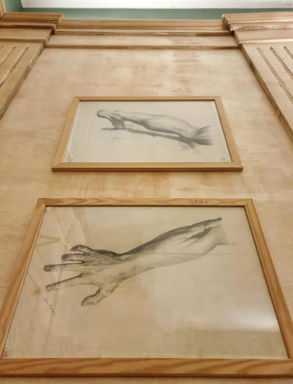 Albergo delle Drapperie Bologna Esterno foto